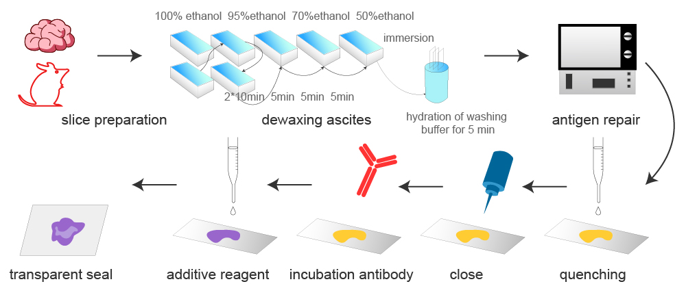 IHC process